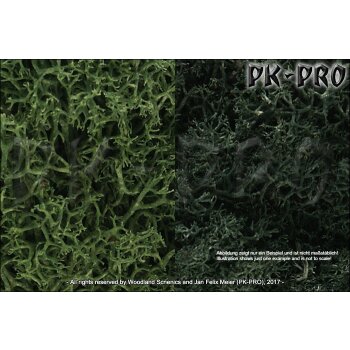 WS-Lichen-Dark-Green-Mix-(Bag)-(2,83dm³/173in³)