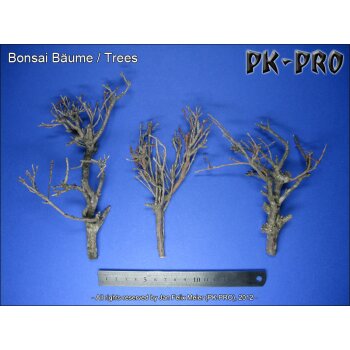 PK-PRO Bonsai Bäume (3x)