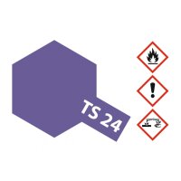 TS-24 Violett glänzend 100ml