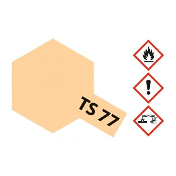 TS-77 Fleischfarben matt 100ml