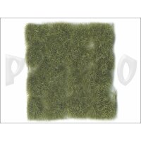 Vallejo-Scenery-Wild-Tuft-Dry-Green