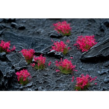 Pink Flowers Wild