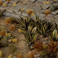 Laser Plants - Agave