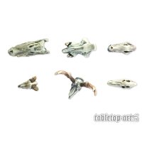 Animals Skulls Set (6)