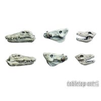 Animals Skulls Set (6)