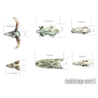 Animals Skulls Set (6)