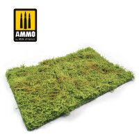 Wilderness Fields with bushes - spring  - plastic plate 230mm x 130mm