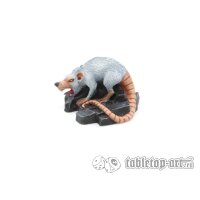 Giant Rats Pack (10)