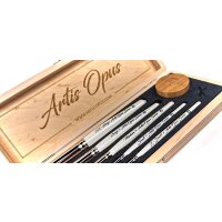 Artis Opus - Series D PLUS - DryBrush Expansion Set (5 Brushes)