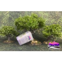 Trees Pack + Kraut for Trees Mega Deal