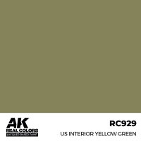 US Interior Yellow Green (17ml)