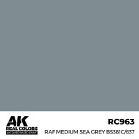 RAF Medium Sea Grey BS381C/637 (17ml)