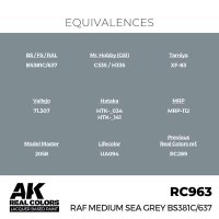 RAF Medium Sea Grey BS381C/637 (17ml)