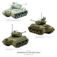 M3 Stuart Troop