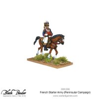 Napoleonic French Starter Army (Waterloo campaign)