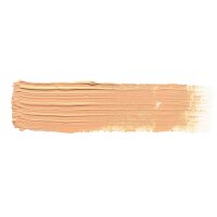 Sunny flesh tone (20mL)