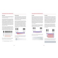 Airbrush – Das Standardwerk