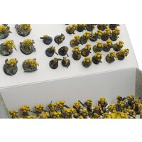 Full-size XL Box with two plates for magnetically-based miniatures