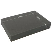 Full-size 60mm deep raster foam tray