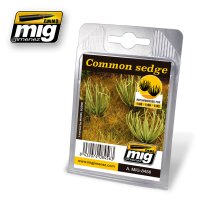 A.MIG-8456-Common-Sedge