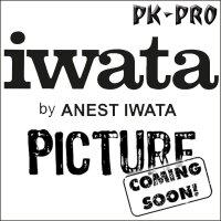 IWATA-Düsenkappe (0,5mm) für Rev.-(I 702 1)