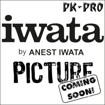 IWATA-Nadelkappe 0,2 HP-AH, BH / HP-AP,BP,SBP-(I 110 1)