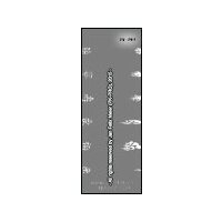 CREAEX Fingernagel-Schablone